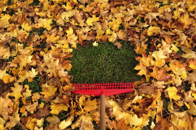 Lawn Leaf Removal