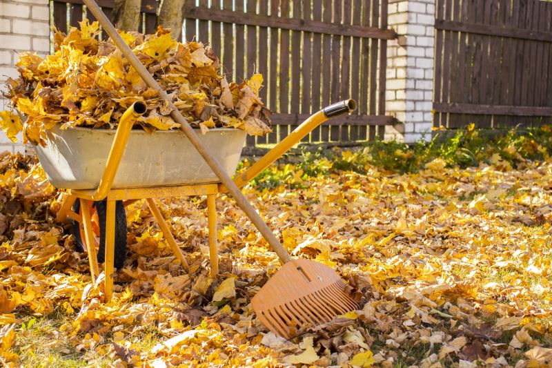 Residential Leaf Removal