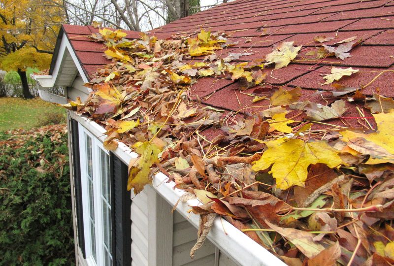 Roof Leaves Removal