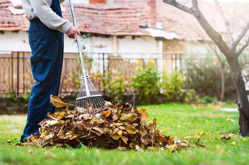 Yard Leaves Removal