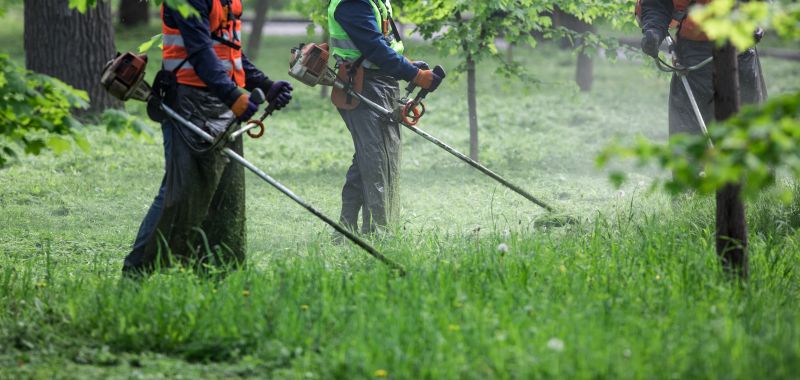 Commercial Weed Whacking