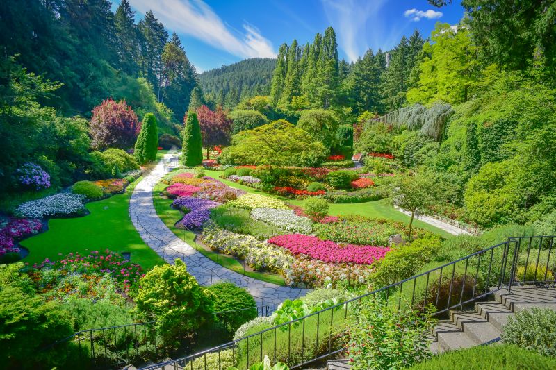 Landscape Design