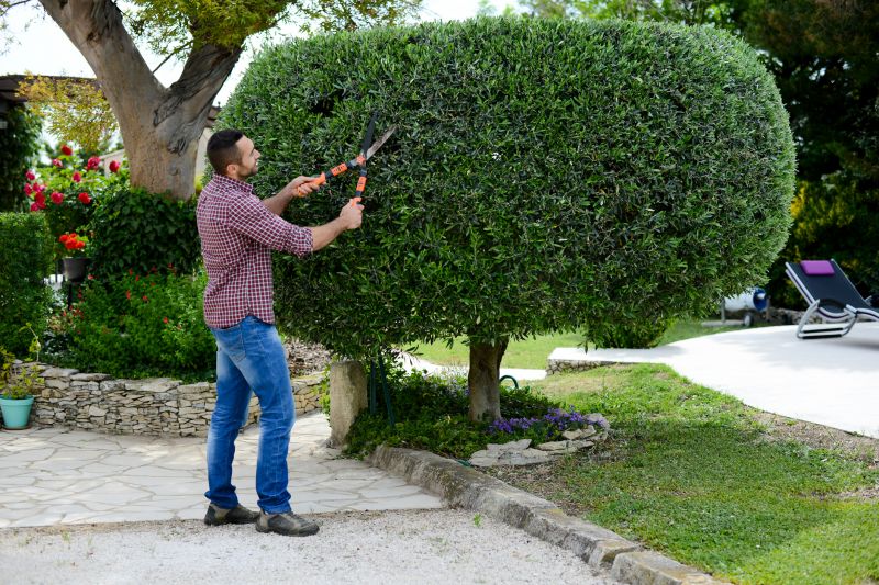 Bush Reshaping