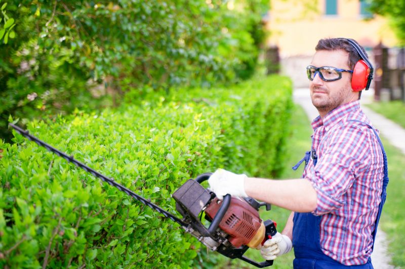 Bush Shearing