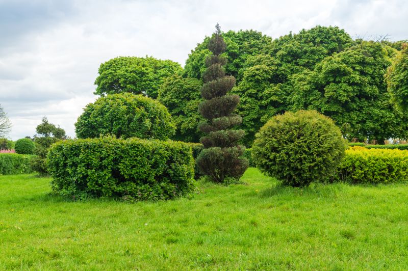 Shrub Pruning