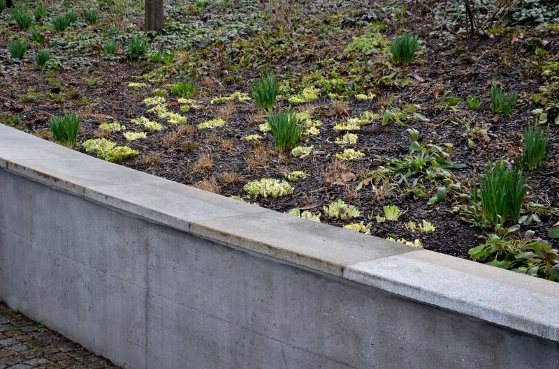DIY Hillside Erosion Prevention
