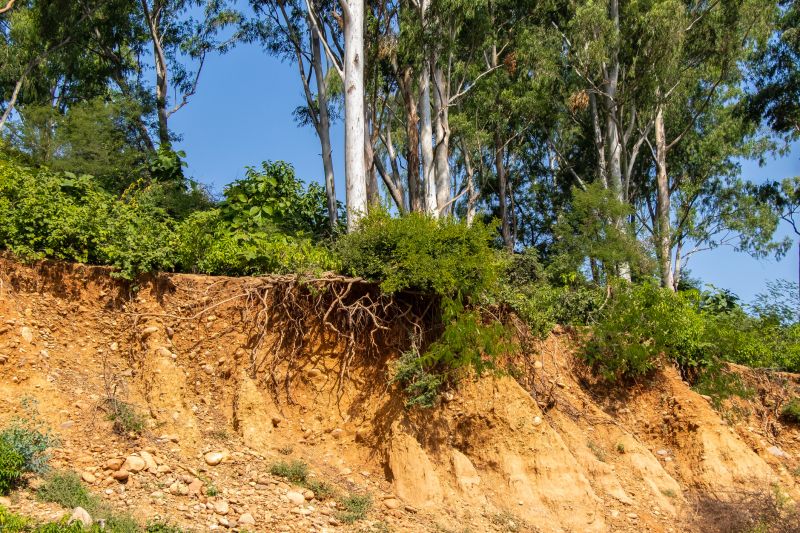 DIY Hillside Erosion Repair