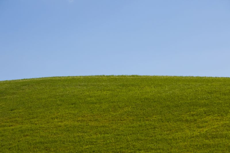 DIY Hillside Revegetation
