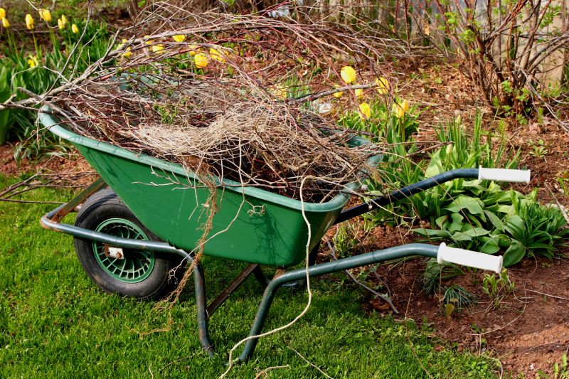 Lawn Cleanup Service