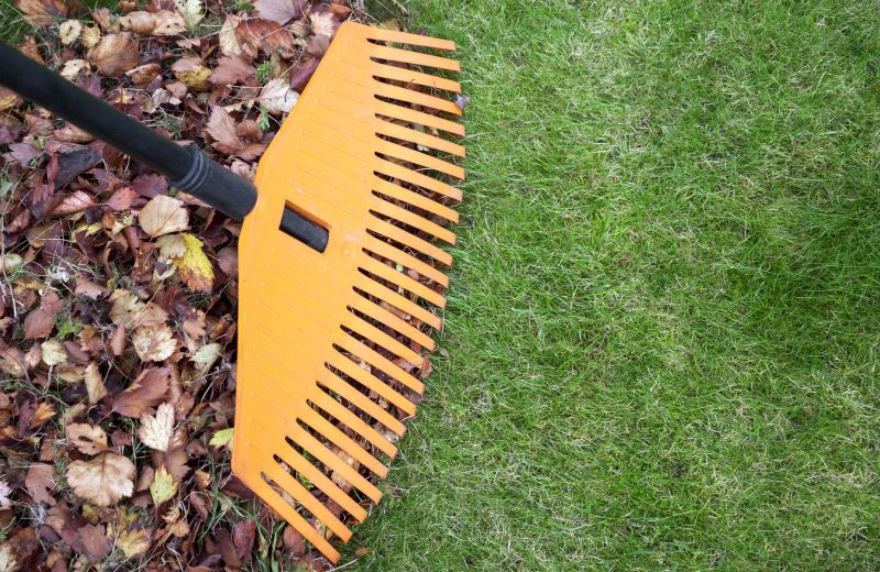 Lawn Leaves Cleanup Service