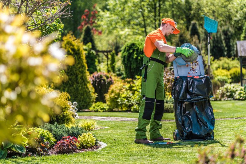 Spring Lawn Cleanup Service