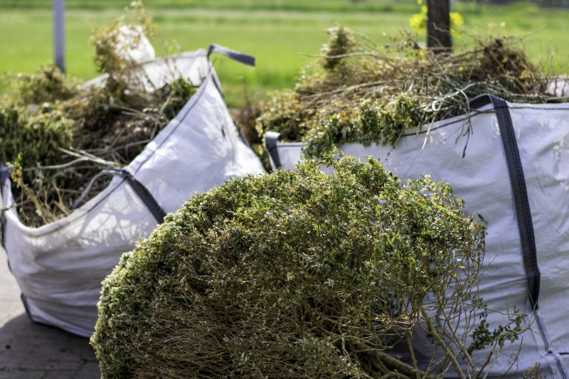 Commercial Bush Removal