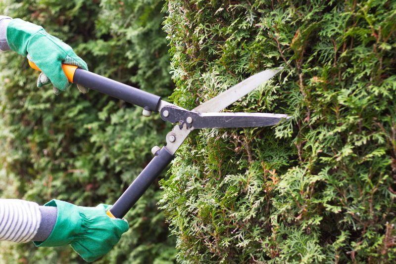 Commercial Bush Trimming