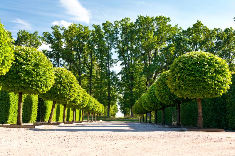 Commercial Topiary Service