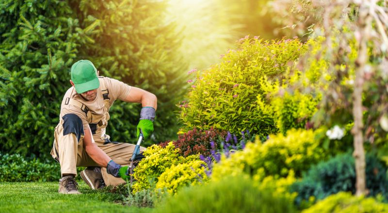 Landscaping Maintenance