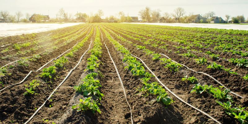 Extend the Lifespan of the Irrigation System!