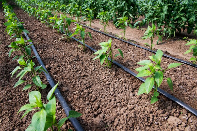 Irrigation Repair