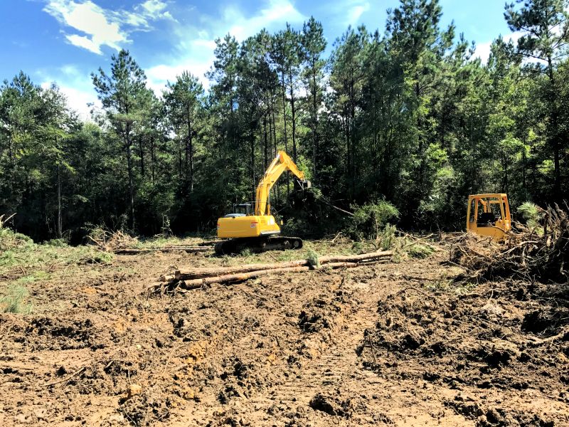 Preserve the Environment with Land Clearing Services!