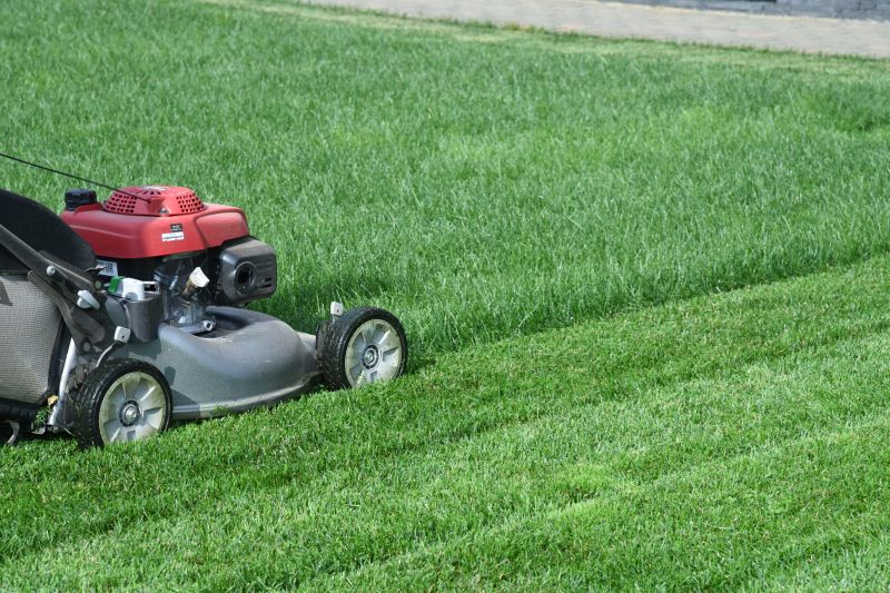 Prevent Weeds and the Infestation of Pests!