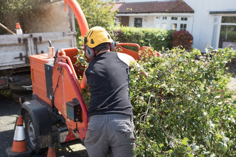 Clear Vegetation with Forestry Mulching!