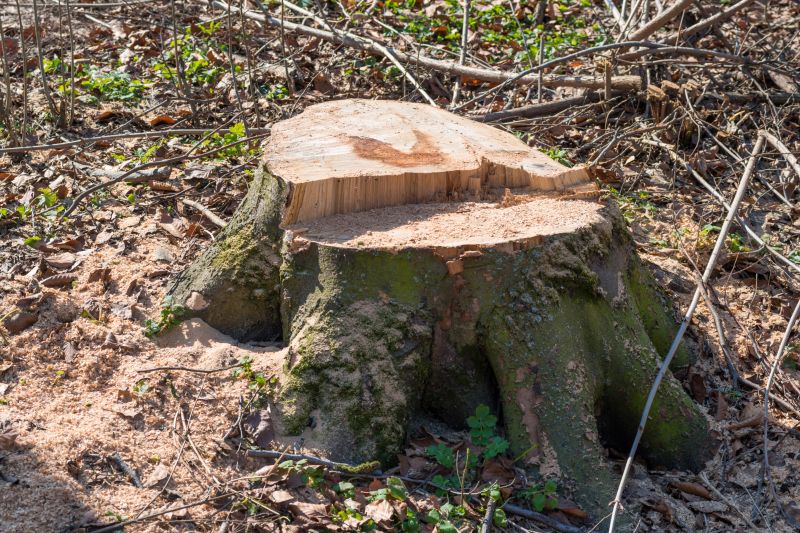 Remove Trees of All Sizes!