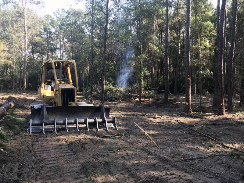 Remove Trees to Clear Land!