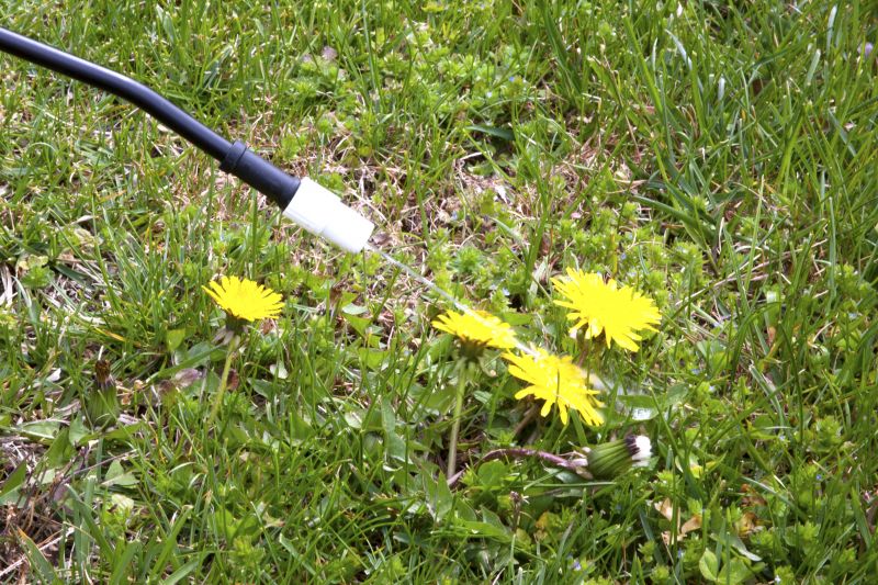 Weed Spraying