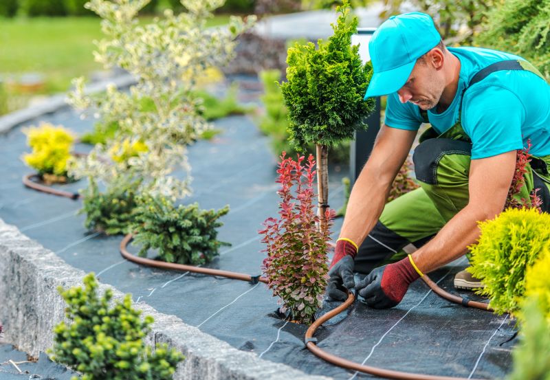 Get a Healthy and Vibrant Landscape!
