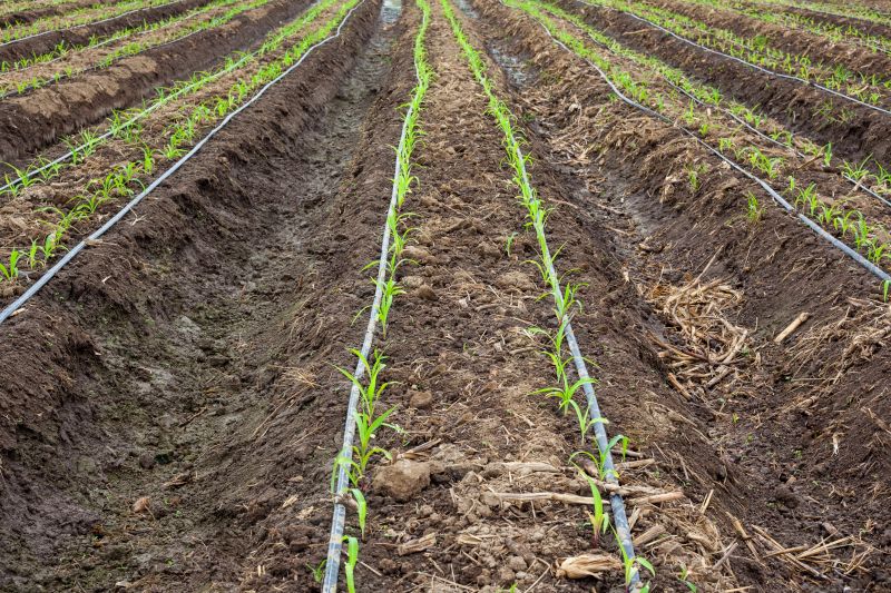 Irrigation Installation - Irrigation Installation Cape Coral, Florida