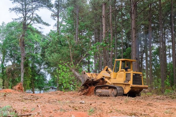 Lot Clearing - Lot Clearing New Orleans, Louisiana