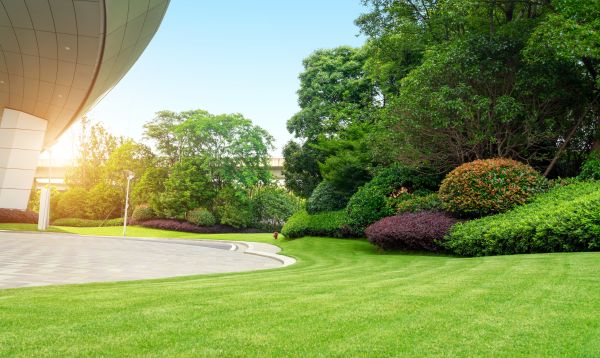 Business Lawn Mowing Service