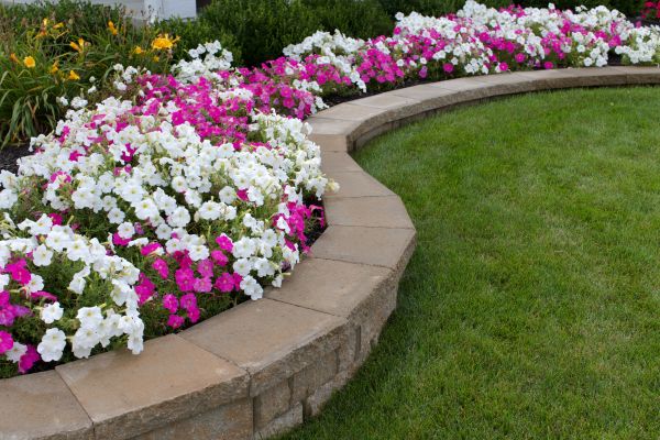 Backyard Garden Design