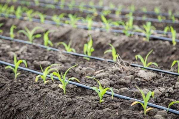 Irrigation Repair And Maintenance - Irrigation Repair And Maintenance Logan, Utah