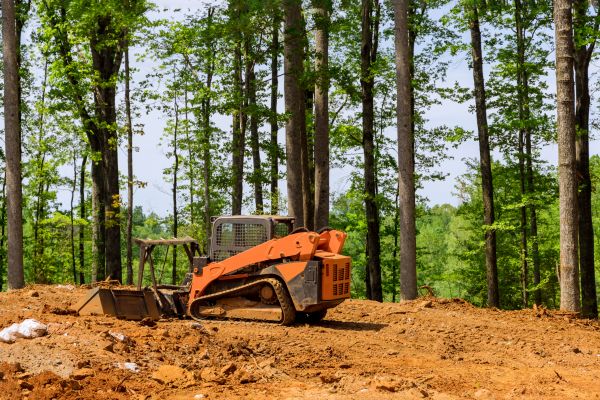 Land Clearing And Grading - Land Clearing And Grading New Orleans, Louisiana