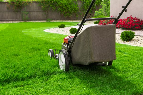 Lawn Care And Mowing - Lawn Care And Mowing Springfield, Illinois