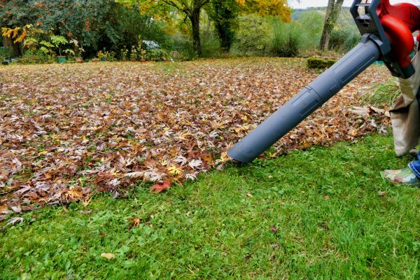 Leaf Vacuuming Service - Leaf Vacuuming Service Plano, Texas