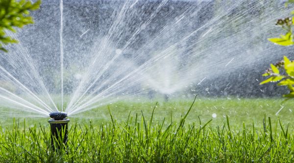 Sprinkler Maintenance