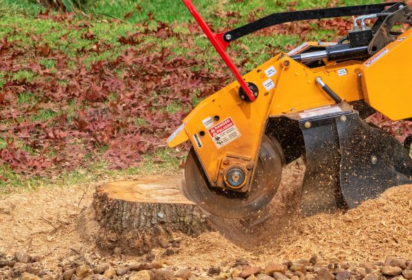 Stump Grinding Service - Stump Grinding Service Morgantown, West Virginia
