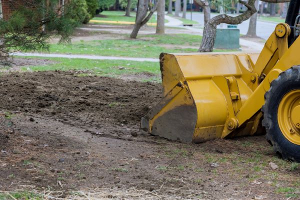 Backyard Excavation