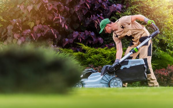 Yard Maintenance Service - Yard Maintenance Service Kauai County, Hawaii
