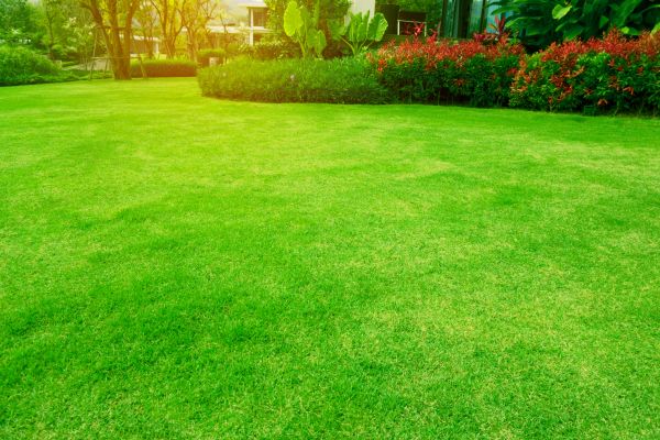 Grass Maintenance - Grass Maintenance Framingham, Massachusetts