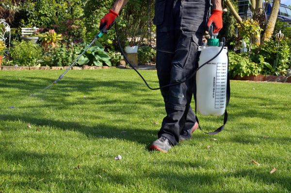 Lawn Care Treatment - Lawn Care Treatment Huntsville, Alabama