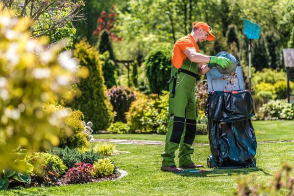 Backyard Clean Up Service