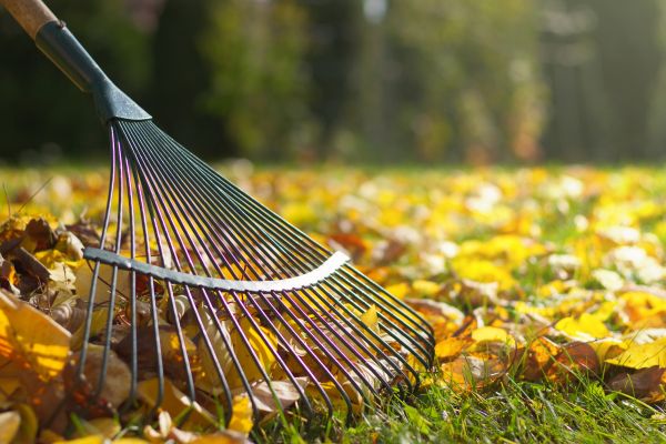 Leaf Raking Service - Leaf Raking Service Plano, Texas