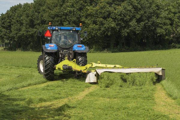 Overgrown Vegetation Service