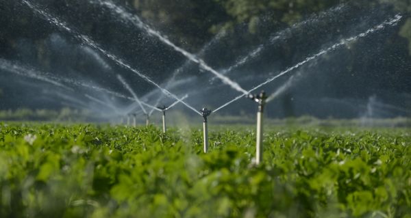 Irrigation System Maintenance