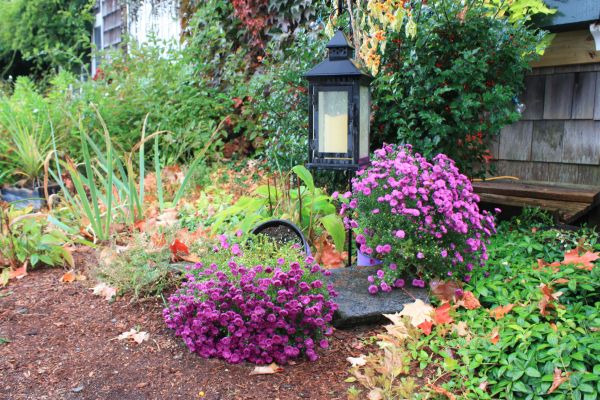 Gardening And Lawn Care - Gardening And Lawn Care Racine, Wisconsin