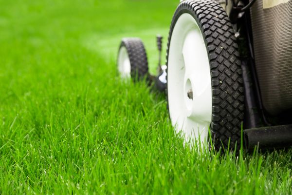 Complete Lawn Care