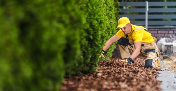 Cypress Mulch Installation - Cypress Mulch Installation Destin, Florida