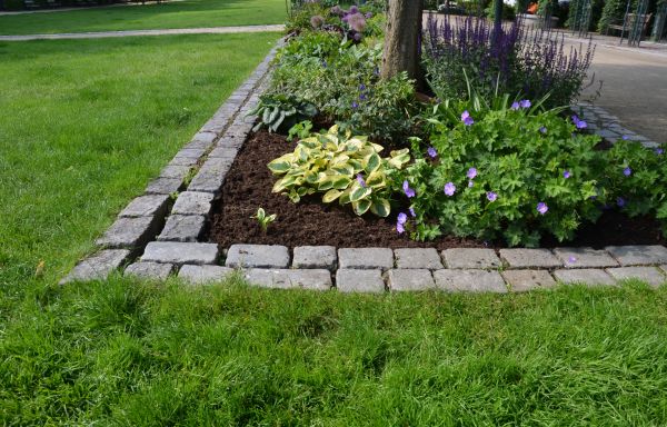 Garden Edging